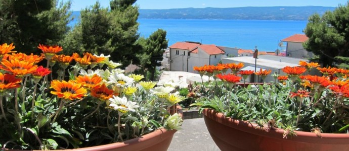 A View